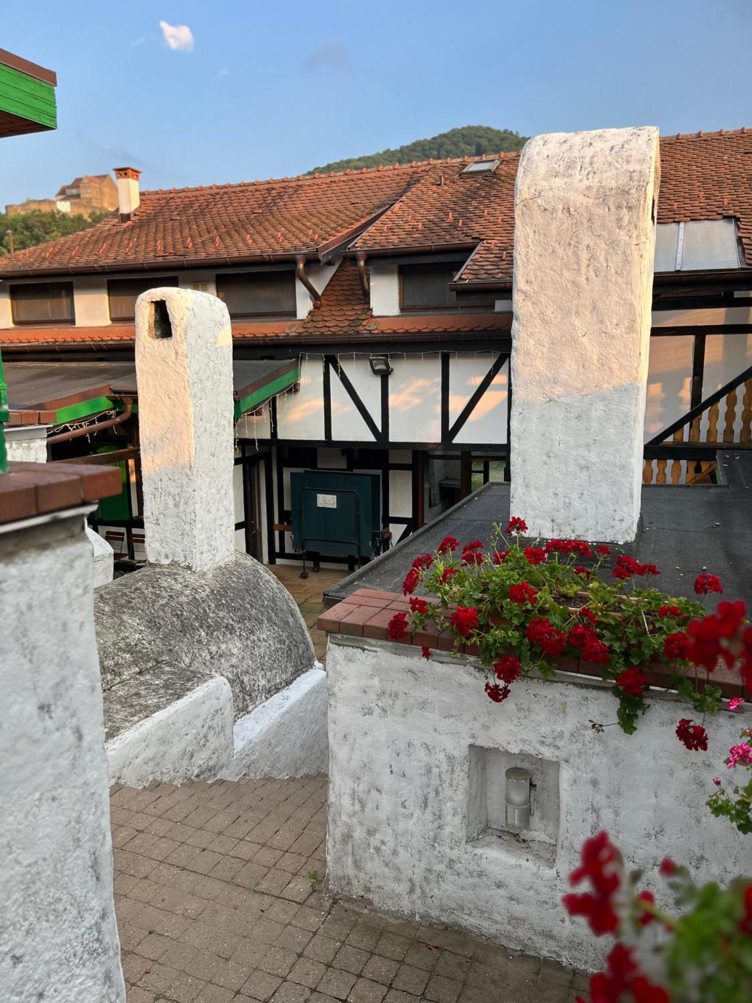 Pensiunea Gasthof Michelsberg Εξωτερικό φωτογραφία